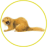 kolonok