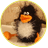 penguin13