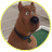 Scooby